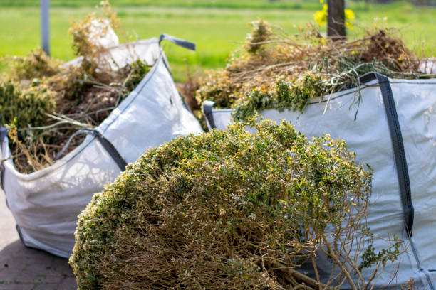 Best Yard Waste Removal  in Greenwood, SC